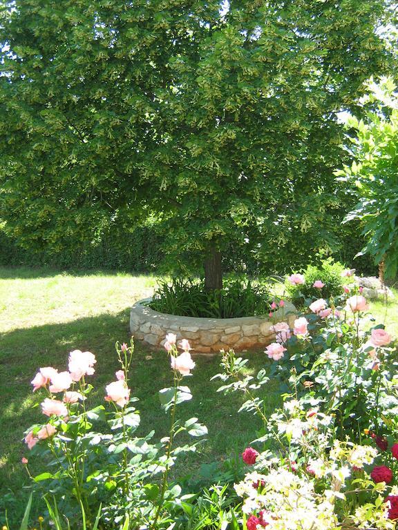 Apartment Neda Z-Velika Okucnica, Besplatni Parking I Opticki Wi-Fi 拉宾 客房 照片